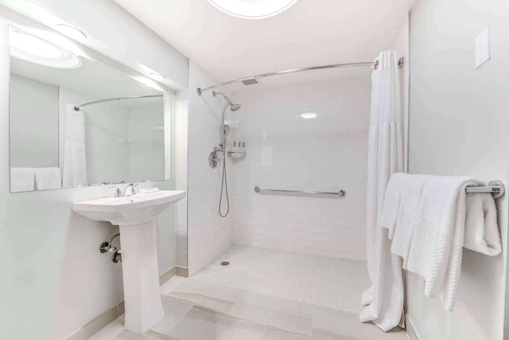 Room, 1 King Bed, Accessible (Roll-In Shower) - Photo 4