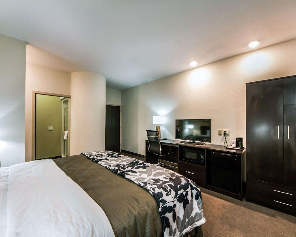 Standard Room, 1 King Bed, Non Smoking - Photo 3