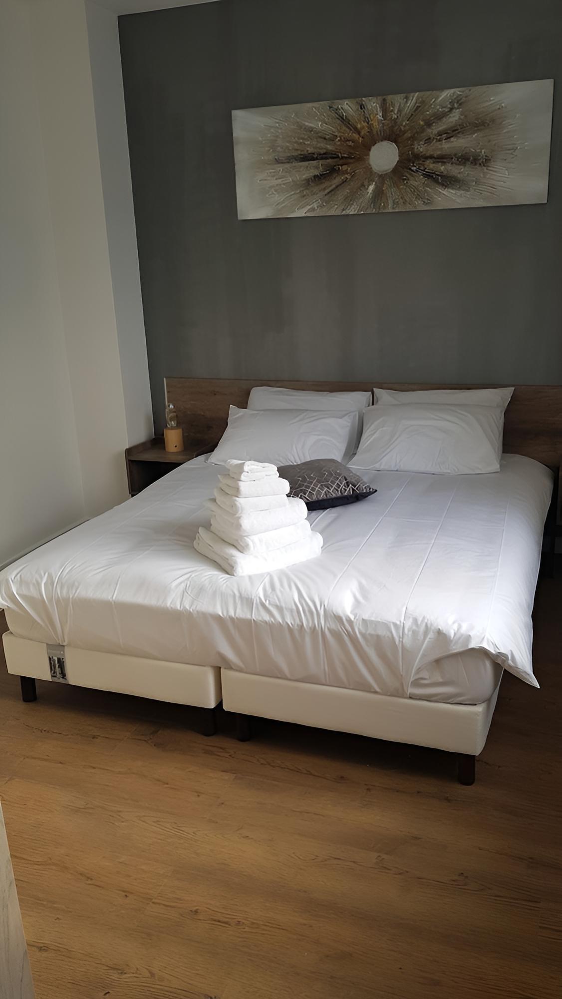 Deluxe Suite, 1 Queen Bed with Sofa bed, Non Smoking, Private Bathroom photo 2