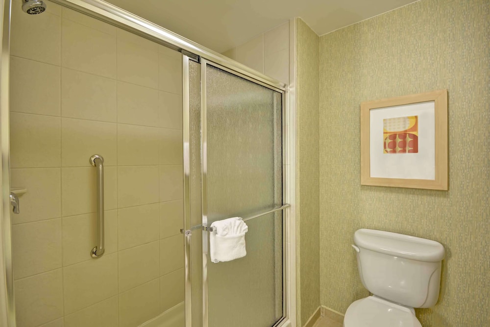 Suite, 1 King Bed - Photo 9