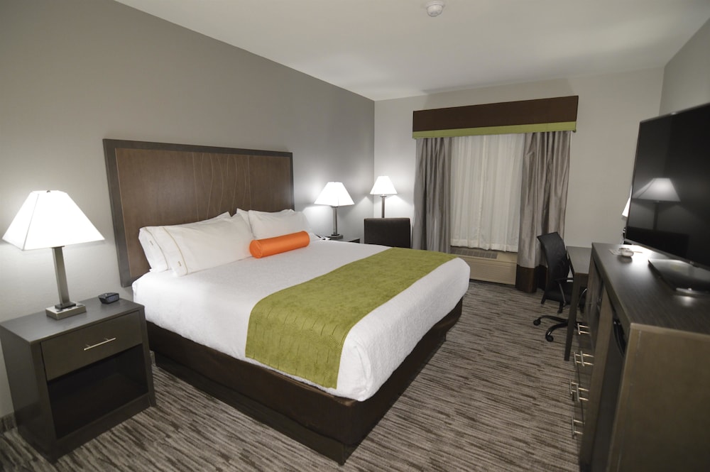 Standard Room, 1 King Bed, Non Smoking, Refrigerator & Microwave photo 1