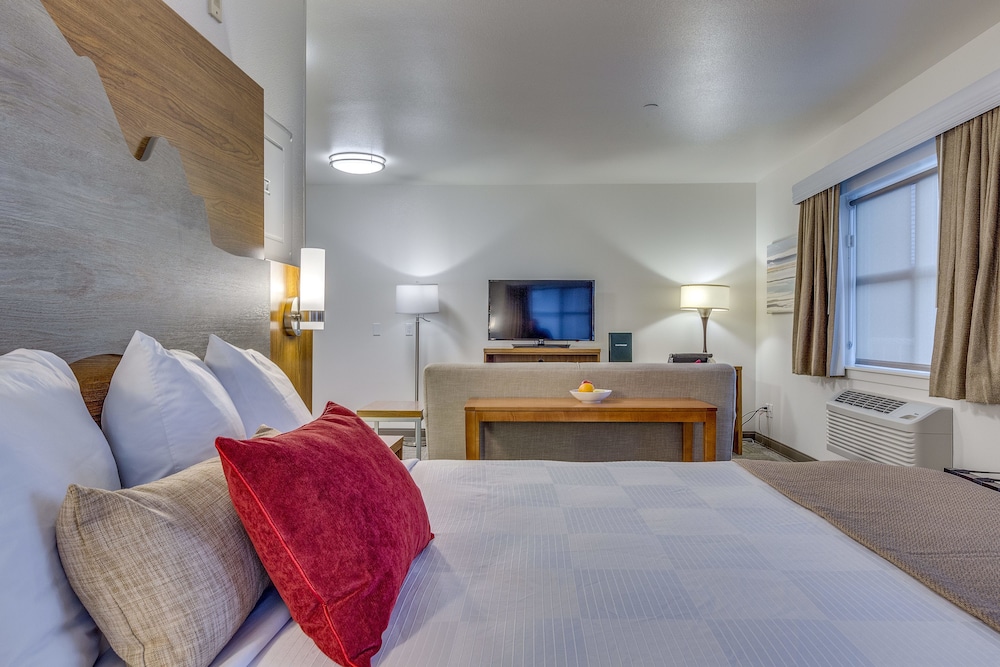 Standard Suite, 1 King Bed With Sofa Bed