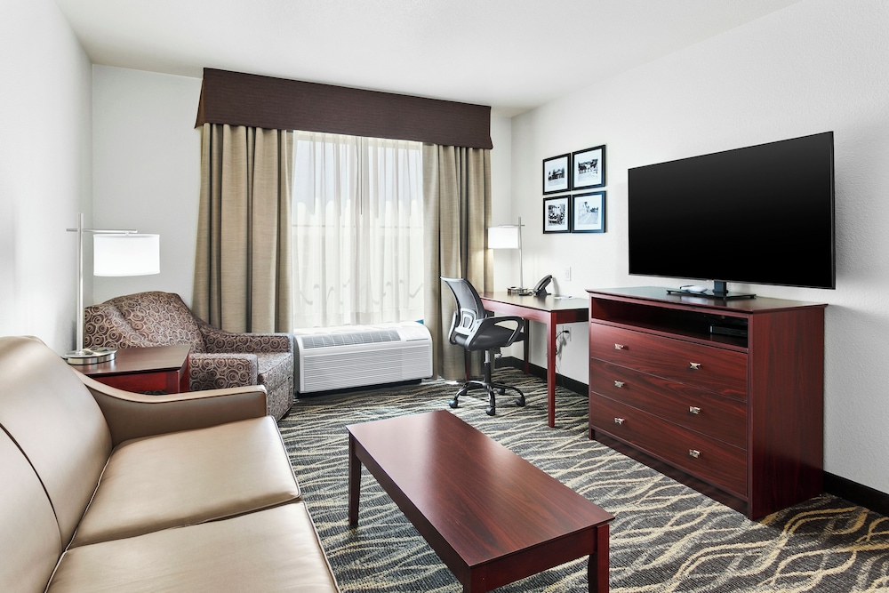 Suite, 1 King Bed with Sofa bed, Non Smoking (with Audible/Visual Alert) - Photo 4