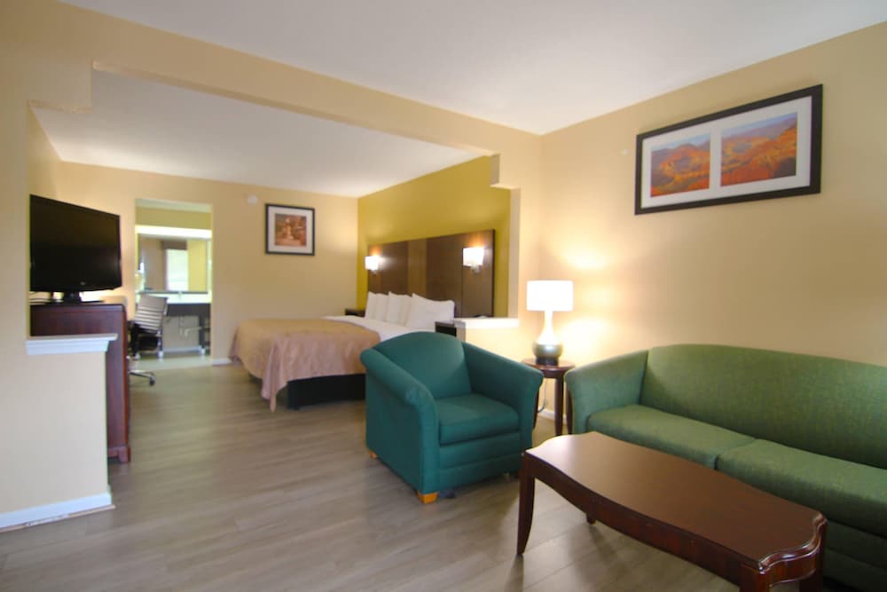 Suite, 1 King Bed with Sofa bed, Non Smoking photo 1