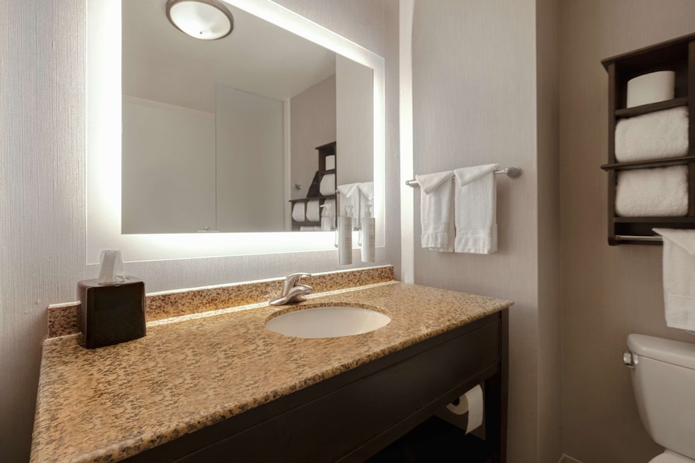 Studio Suite, 1 King Bed, Shower Only, Non Smoking - Photo 6