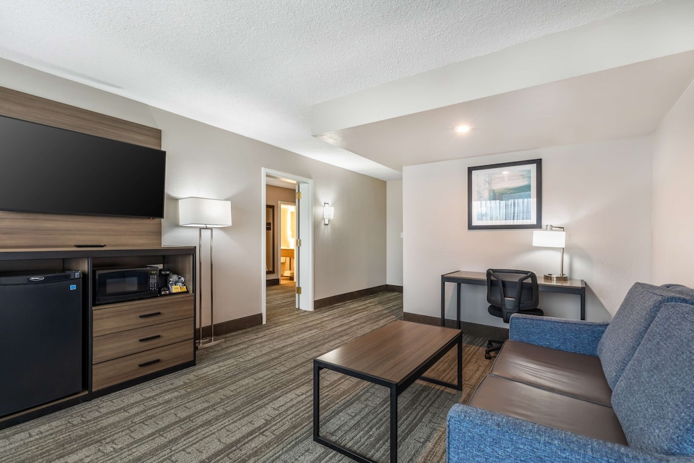 Suite, 1 King Bed, Non Smoking, Refrigerator & Microwave (with Single Sofabed) - Photo 1
