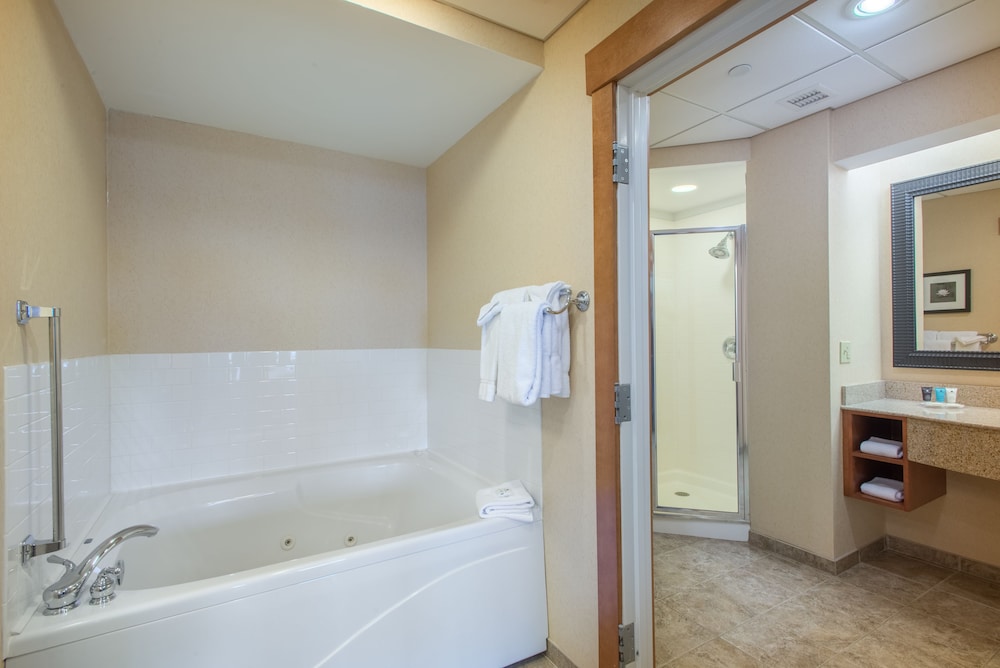 Suite, 1 King Bed - Photo 6