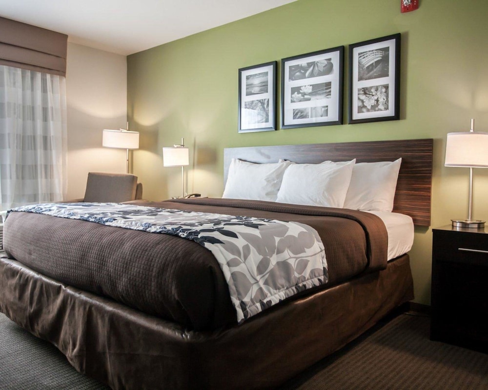 Room, 1 King Bed, Accessible, Non Smoking photo 3