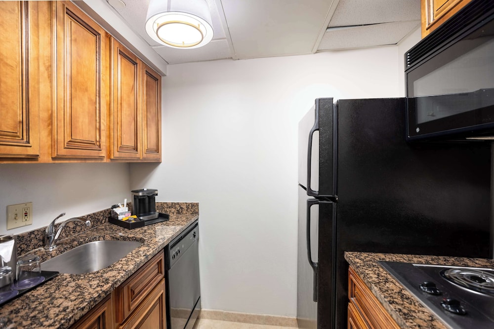 Suite, 1 Bedroom, Kitchen - Photo 17