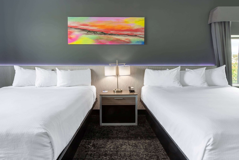 Studio Suite, Multiple Beds, Non Smoking - Photo 3