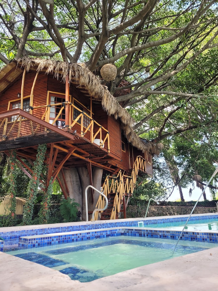 Deluxe Tree House photo 1