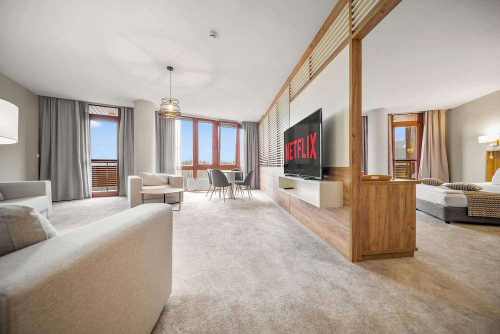 Apartment, 1 Bedroom, Balcony, Mountain View