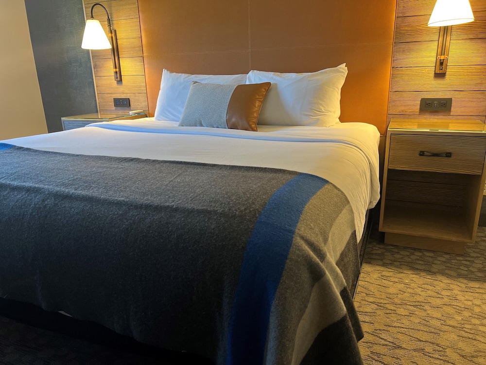 Suite, 1 Bedroom (with Sofa Bed) - Photo 3