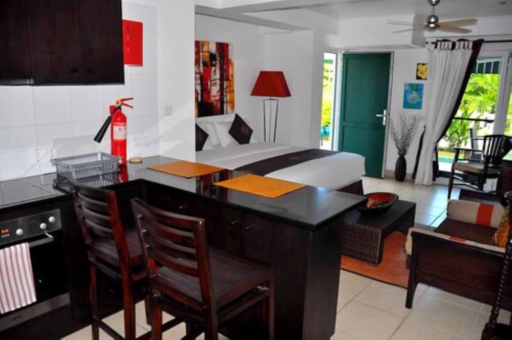 Studio, 1 Bedroom, Terrace photo 3