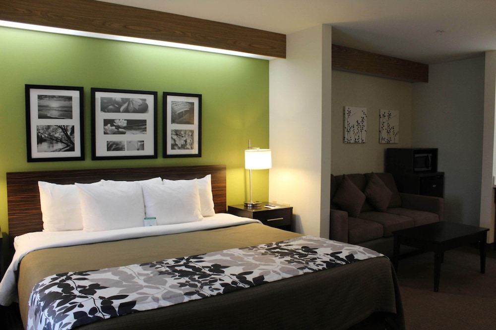 Room, 1 King Bed with Sofa bed, Accessible, Non Smoking (Upgrade) - Photo 4