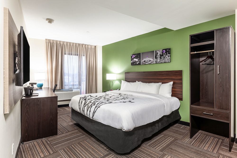 Standard Room, 1 King Bed, Non Smoking photo 1