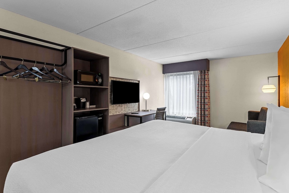 Standard Room, 1 King Bed with Sofa bed, Non Smoking photo 2
