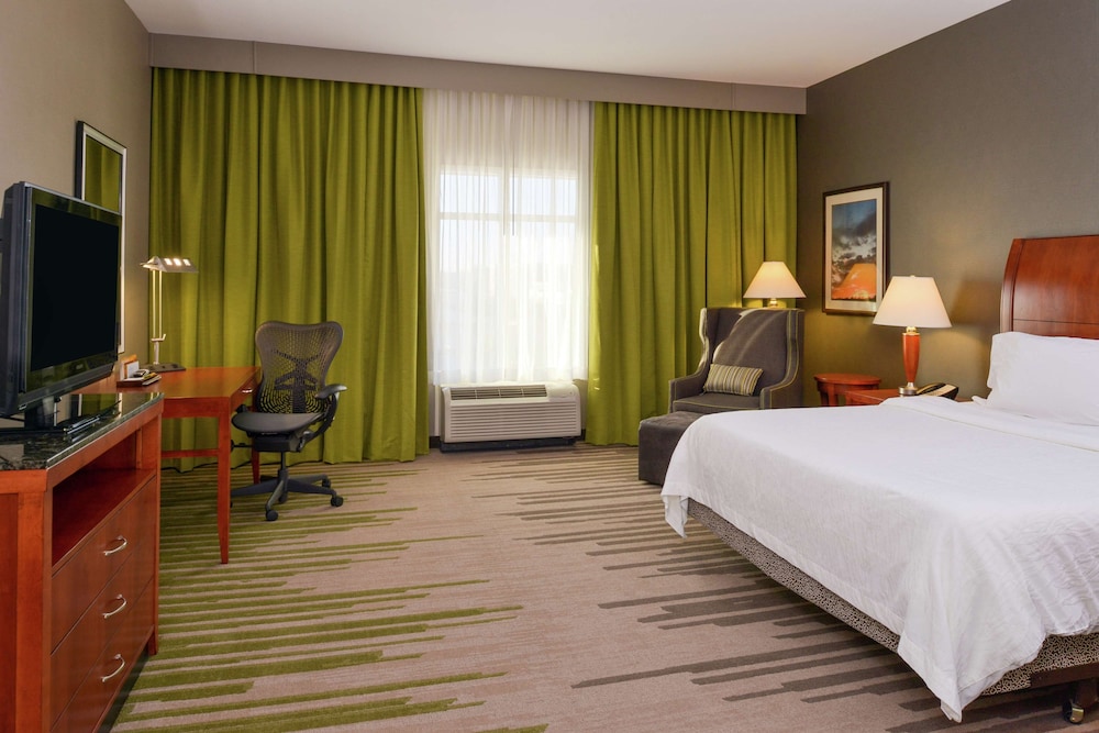 Room, 1 King Bed, Accessible (Roll-in Shower) - Photo 1
