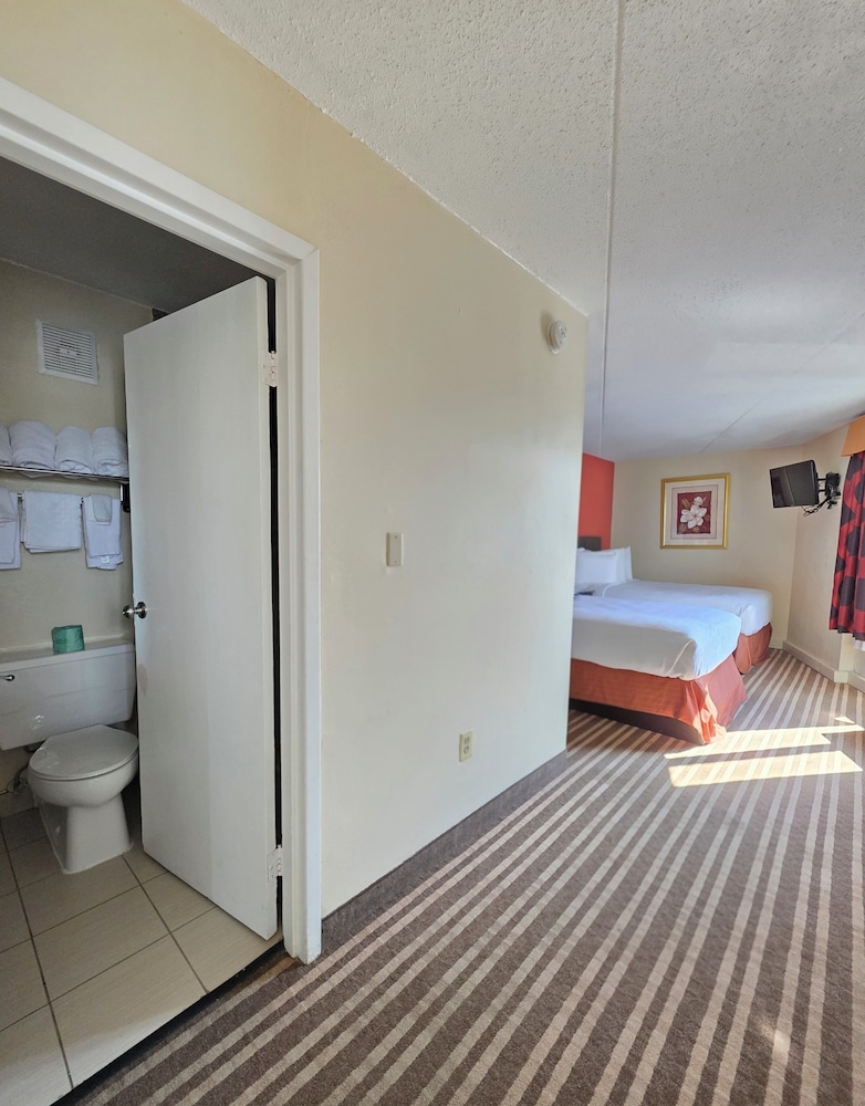 Premium Suite, Multiple Beds, Ensuite photo 1
