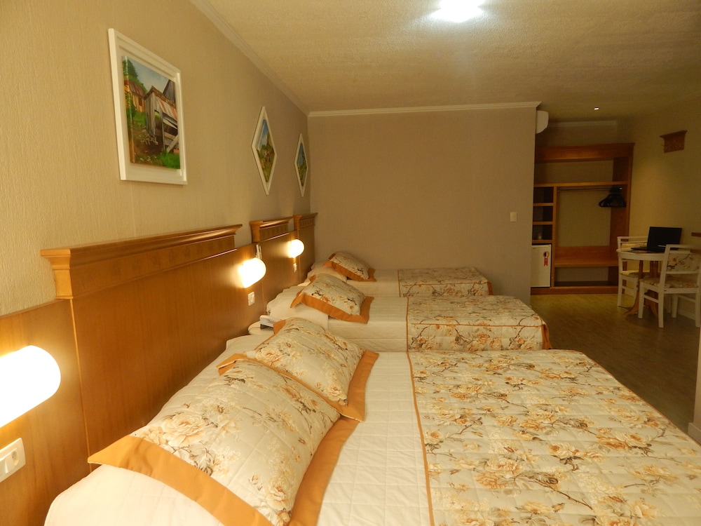 Deluxe Triple Room, 3 Twin Beds photo 2