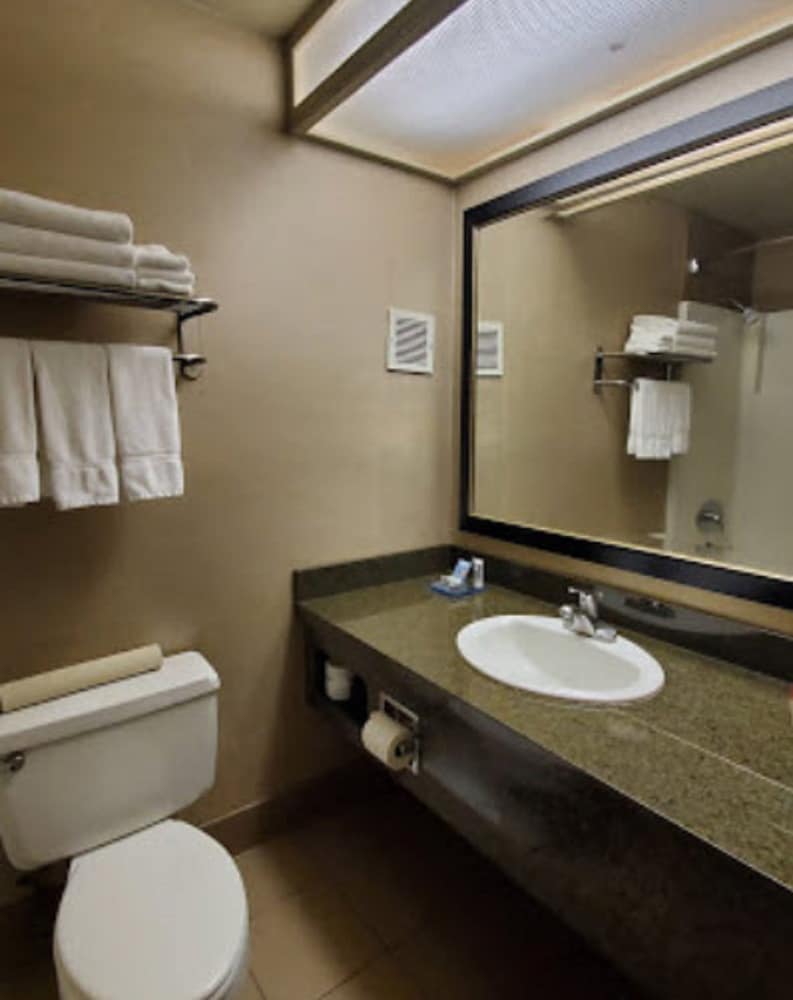 Superior Room, 1 King Bed, Pool View
