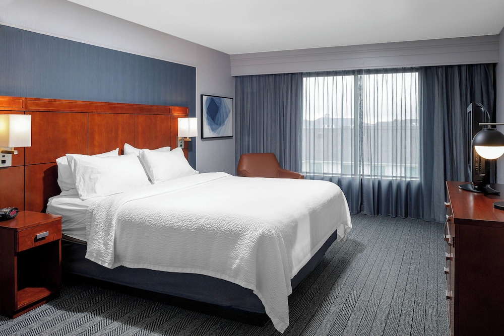 Premium Suite, 1 Bedroom photo 2
