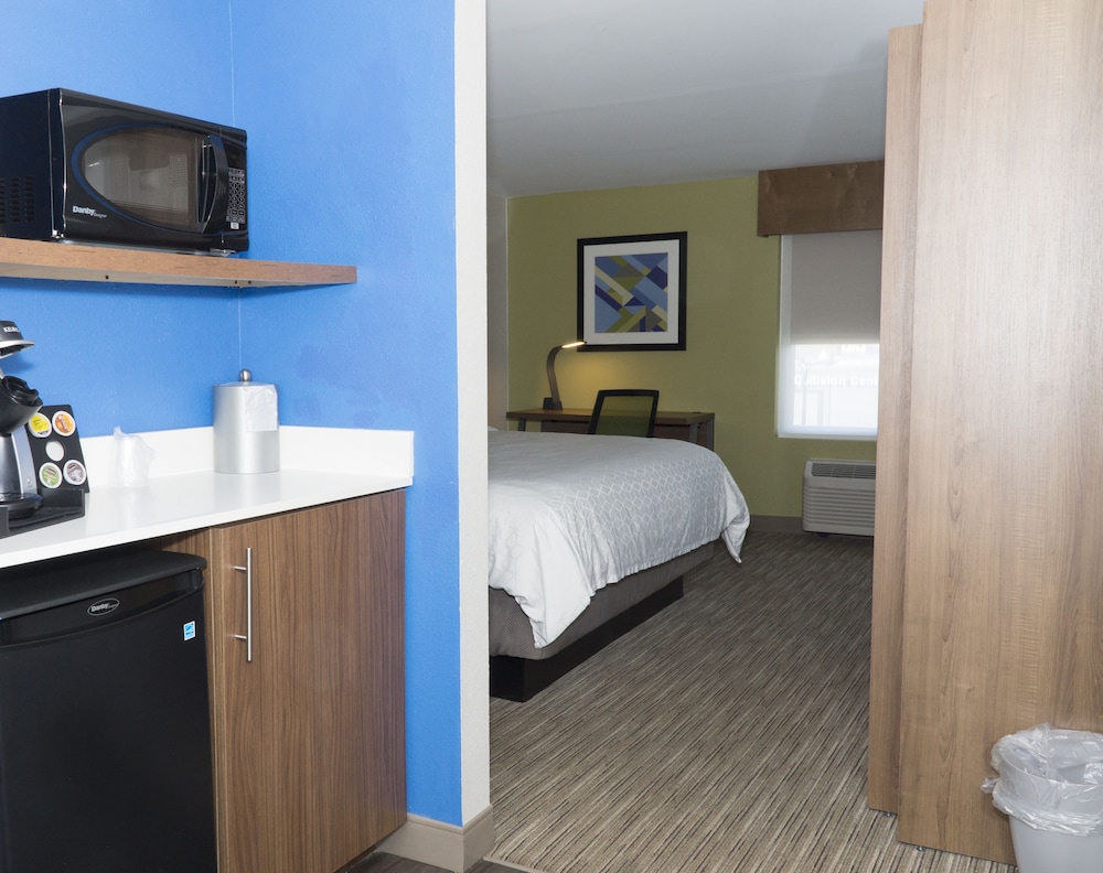 Suite, 1 King Bed - Photo 4