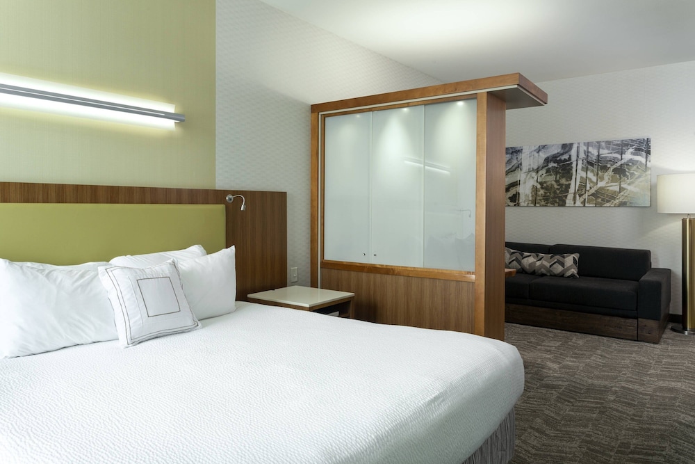Suite, 1 King Bed - Photo 1