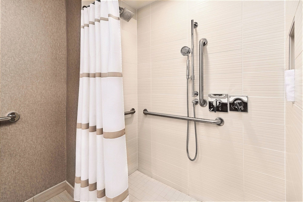 Room, 1 King Bed (Mobility Accessible, Roll-In Shower) - Photo 6