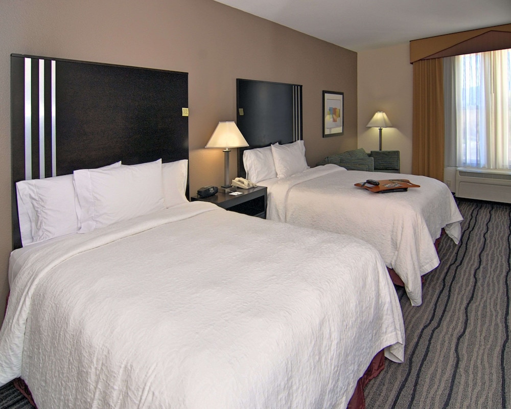 Studio Suite, 2 Queen Beds - Photo 3