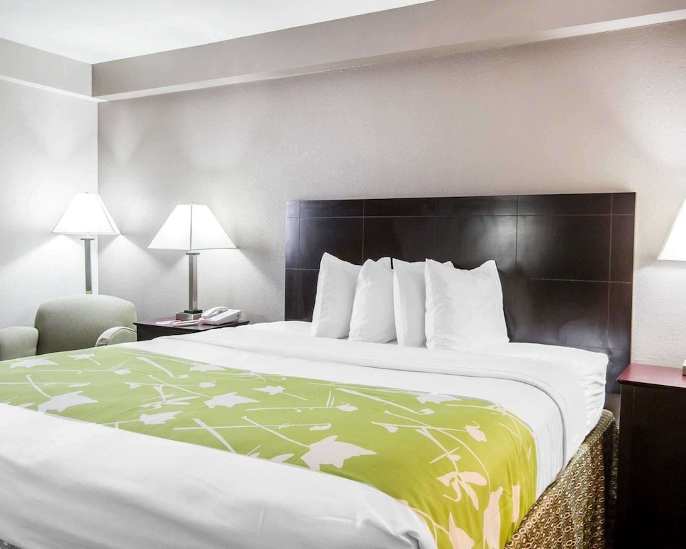 Standard Room, 1 King Bed, Non Smoking - Photo 1