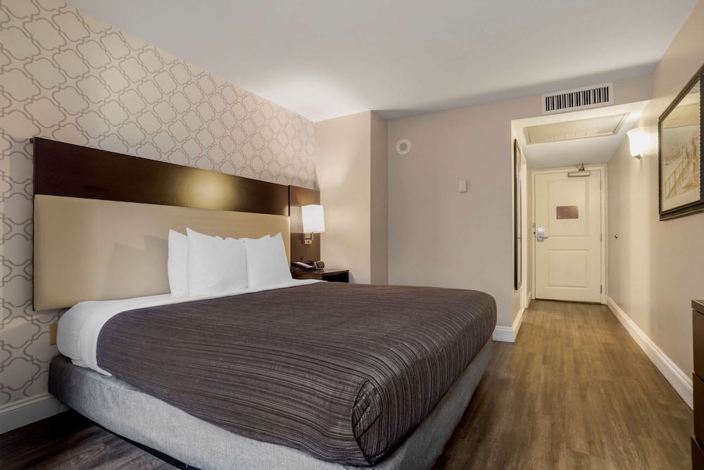 Standard Studio Suite, 1 King Bed, Non Smoking photo 1