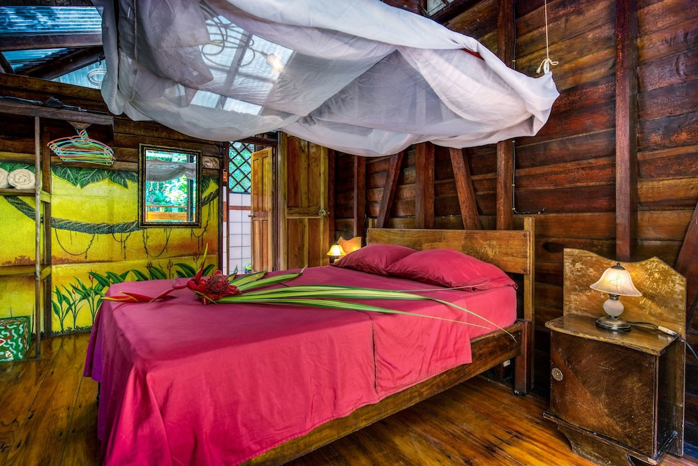 Dream Caribbean House, 2 Bedrooms, Full Kitchen photo 2