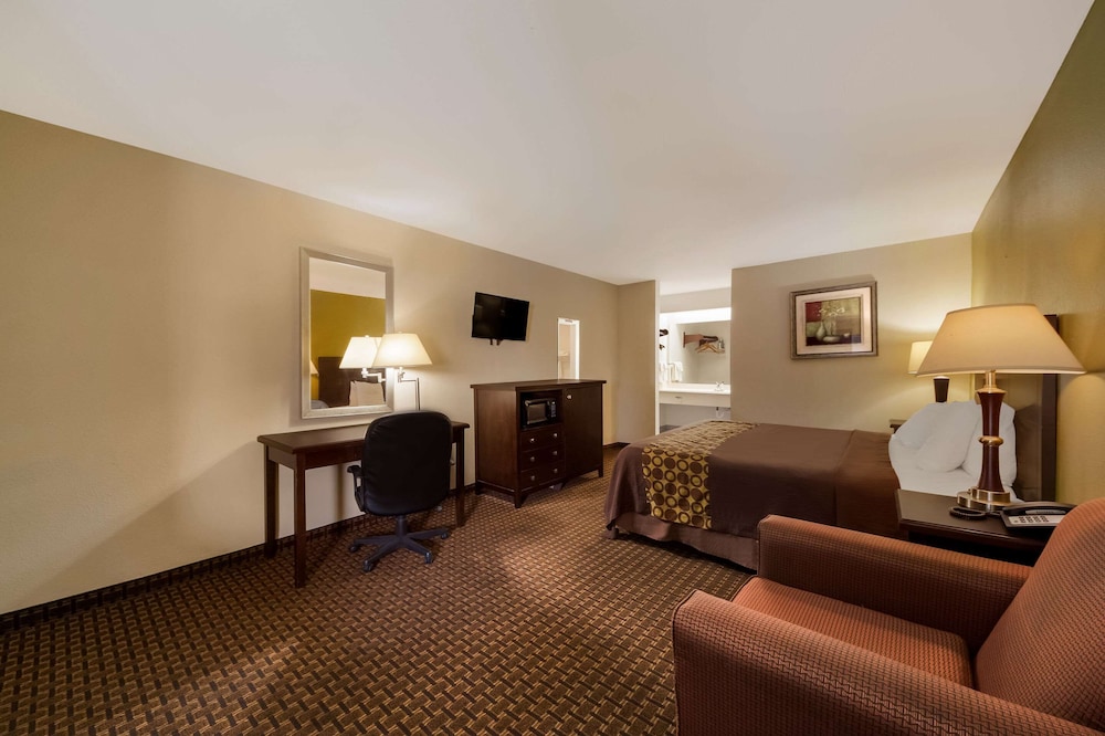 Standard Room, 1 King Bed, Smoking - Photo 8