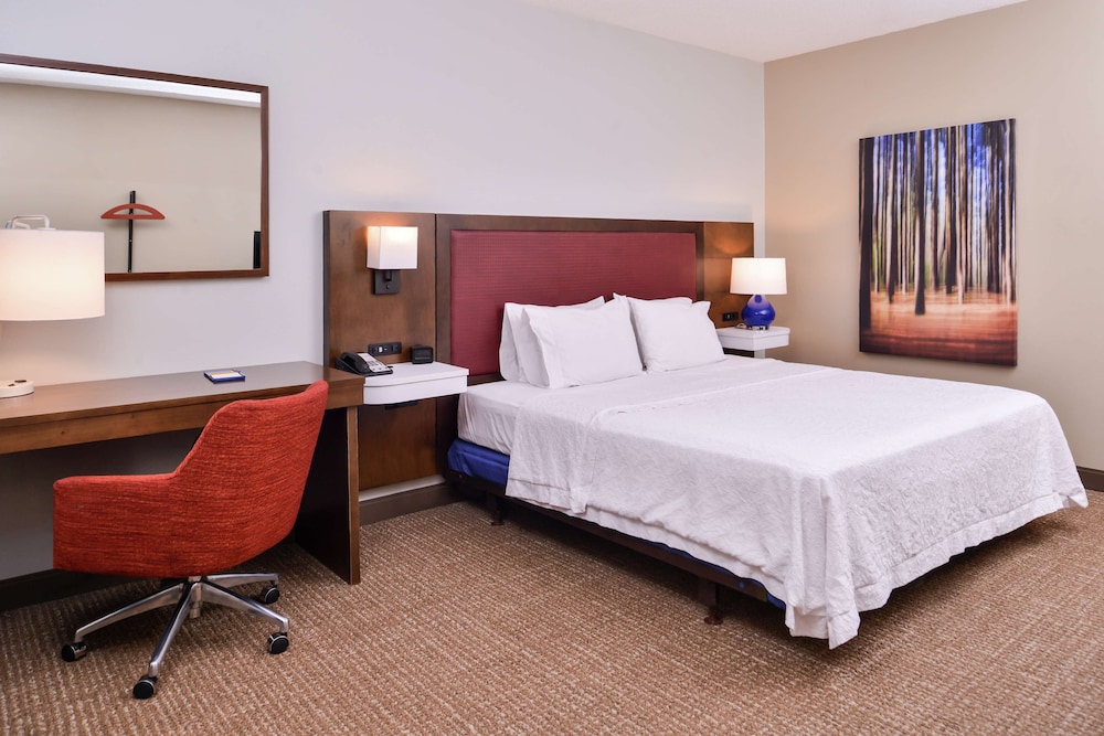 Room, 1 King Bed, Accessible, Bathtub photo 3