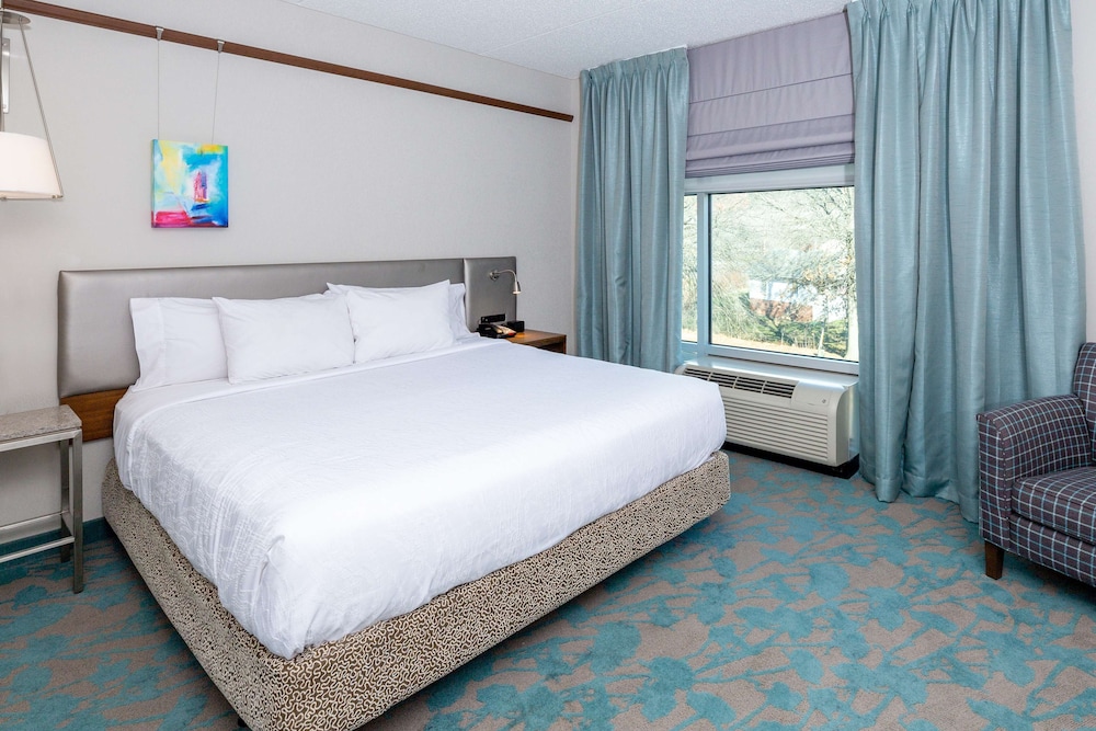 Suite, 1 King Bed, Accessible, Non Smoking (Roll In Shower) photo 1