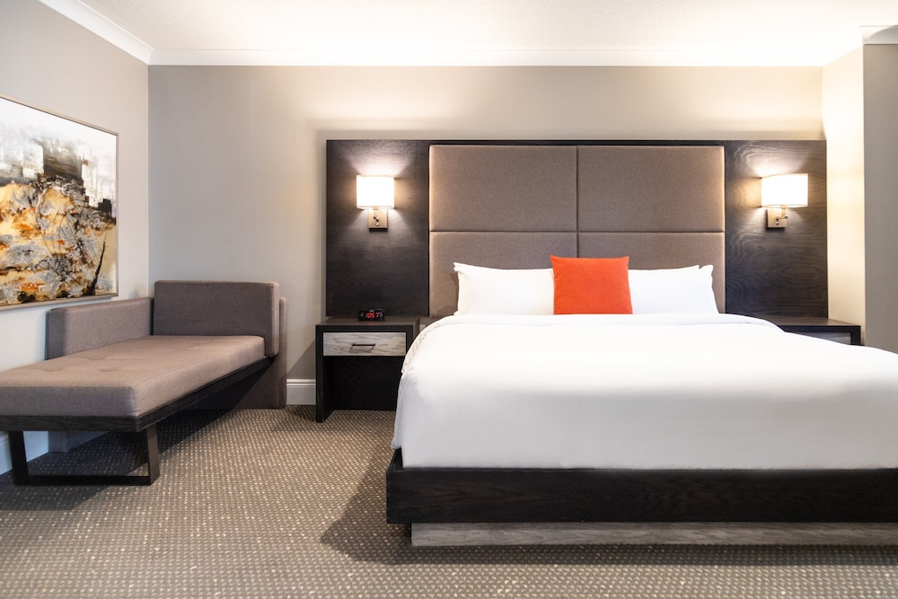 Suite, 1 Bedroom, Roll-in Shower (Mobility Accessible)