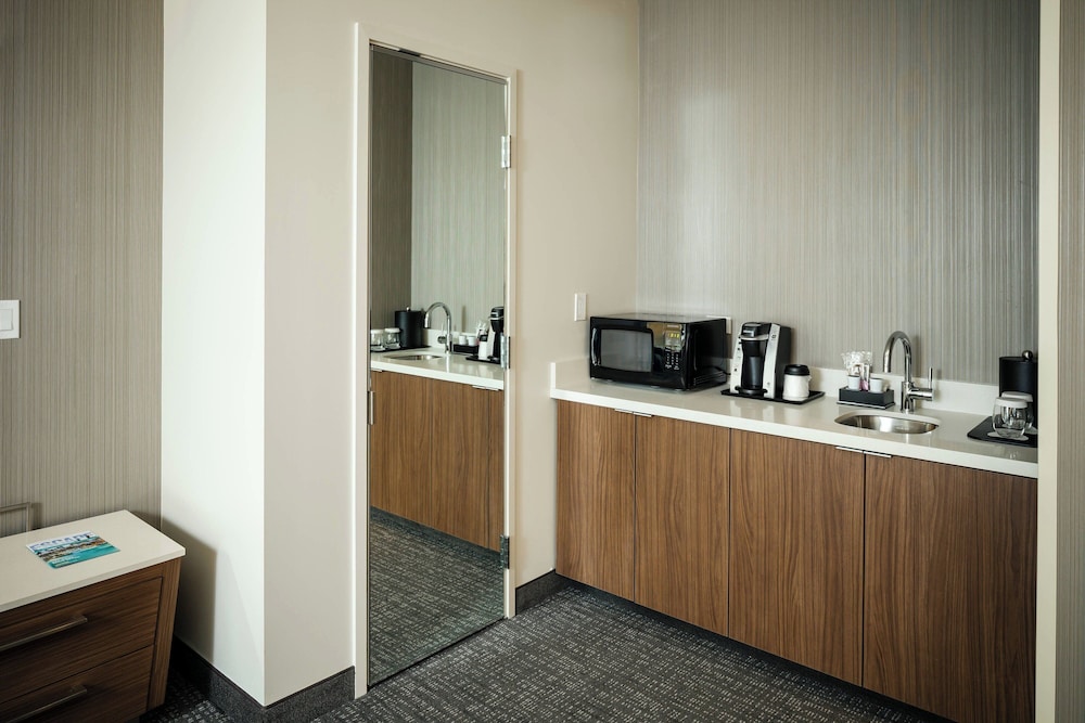 Room, 1 King Bed with Sofa bed (Mobility Accessible, Roll-in Shower)