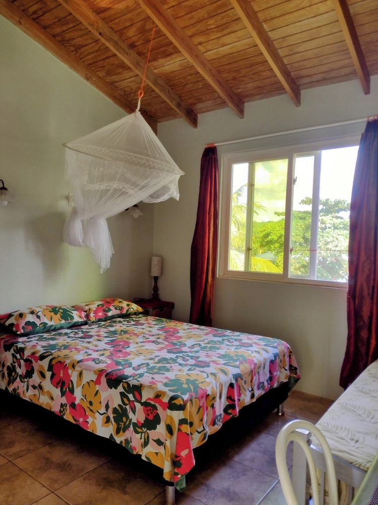 Basic Double Room, 1 Queen Bed, Non Smoking, Garden View photo 3