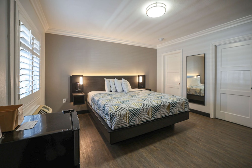 Superior Room, 1 King Bed, Non Smoking, Refrigerator & Microwave photo 3
