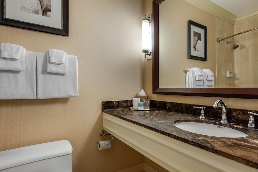Suite, 1 Bedroom - Photo 17