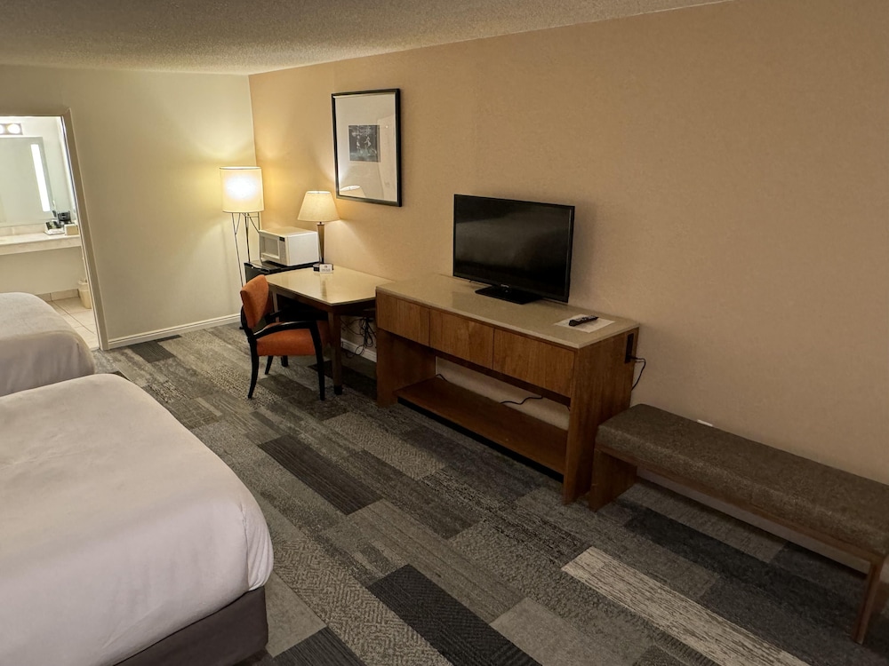 Standard Double Room, Multiple Beds, Refrigerator & Microwave, No Pets photo 2