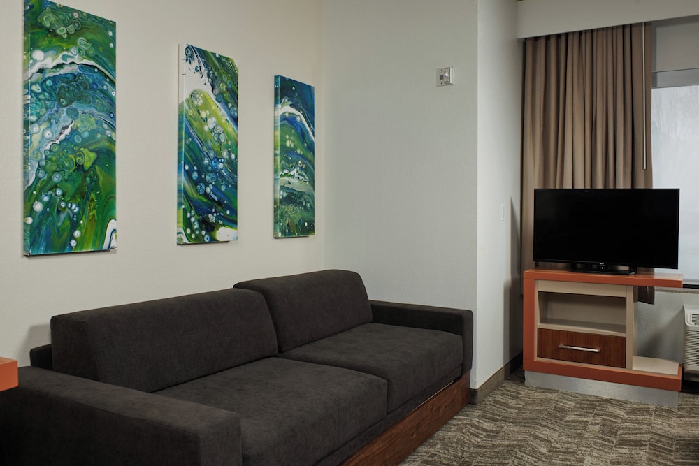 Suite, 1 King Bed with Sofa bed - Photo 6