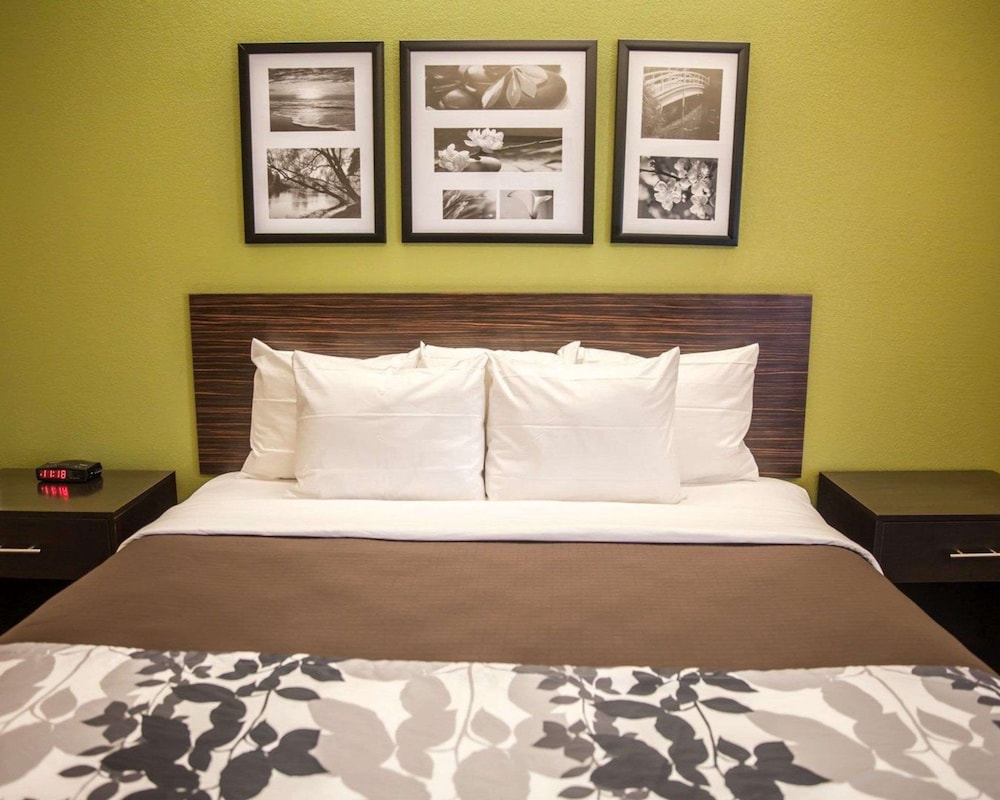 Standard Room, 1 King Bed, Non Smoking - Photo 3
