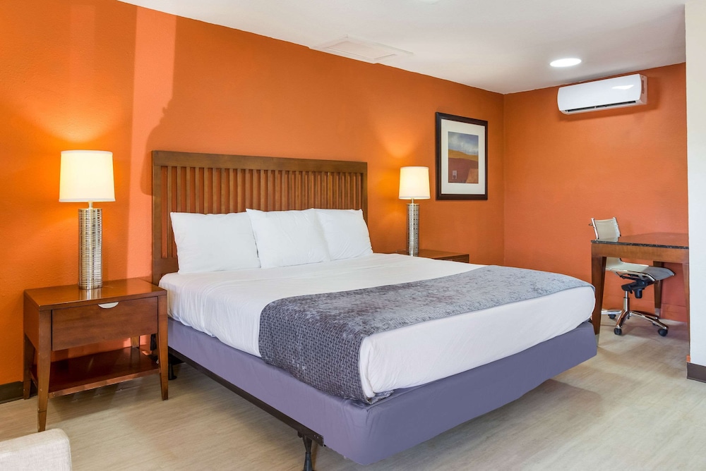 Standard Room, 1 King Bed, Non Smoking photo 1