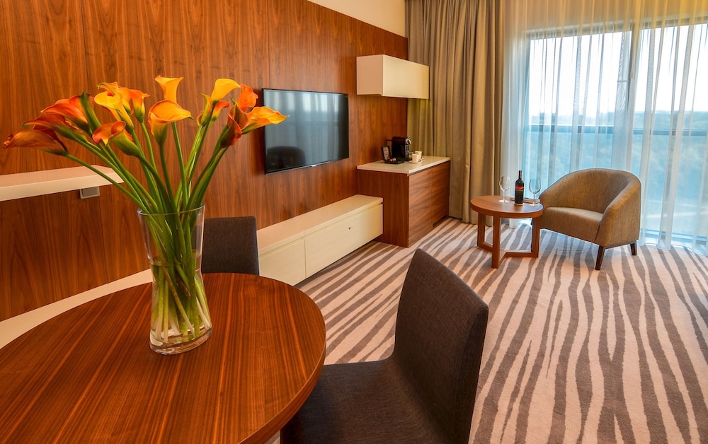 King, Suite, 1 Bedroom photo 3