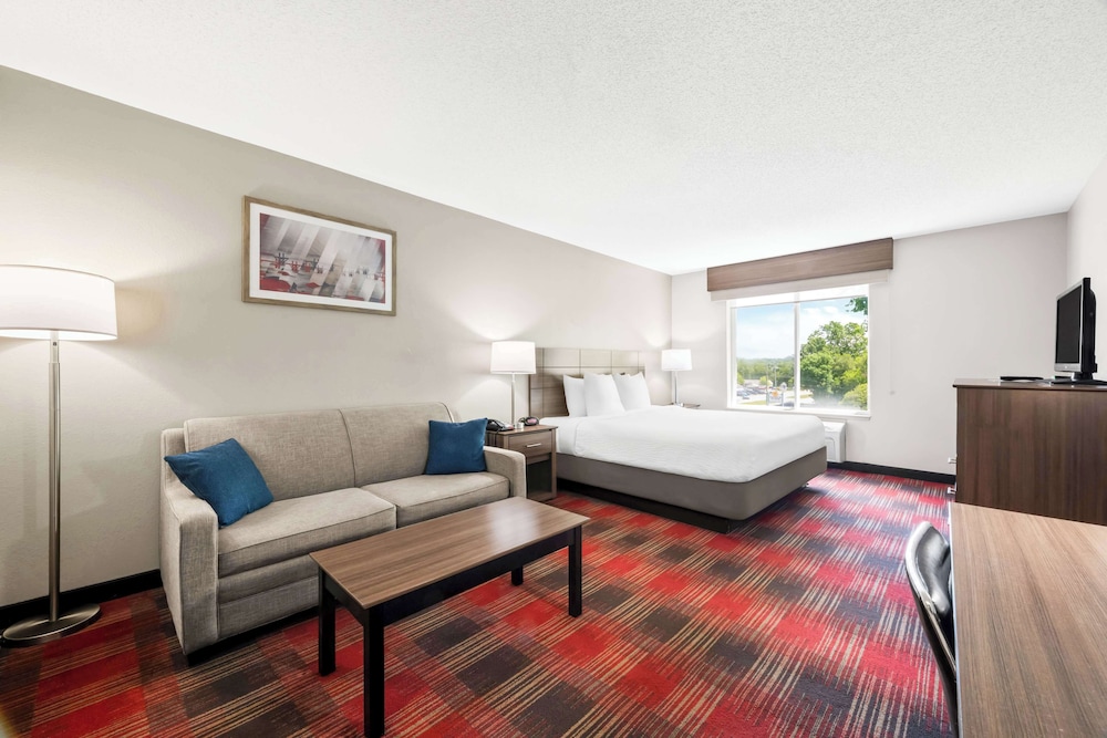 Standard Room, 1 King Bed, Non Smoking, Refrigerator & Microwave (with Sofabed)