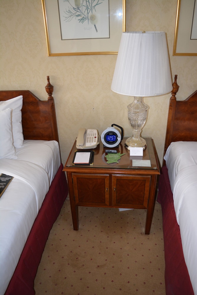 Superior Double Double - Staycation photo 2
