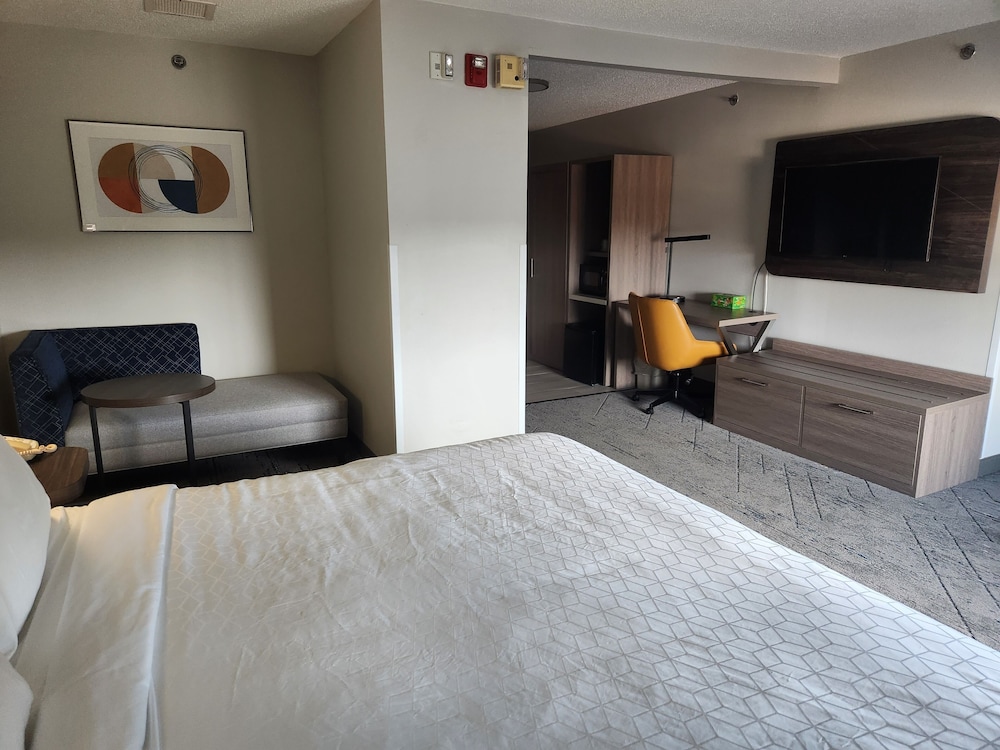 Suite, 1 King Bed with Sofa bed, Accessible Bathtub (Communications)
