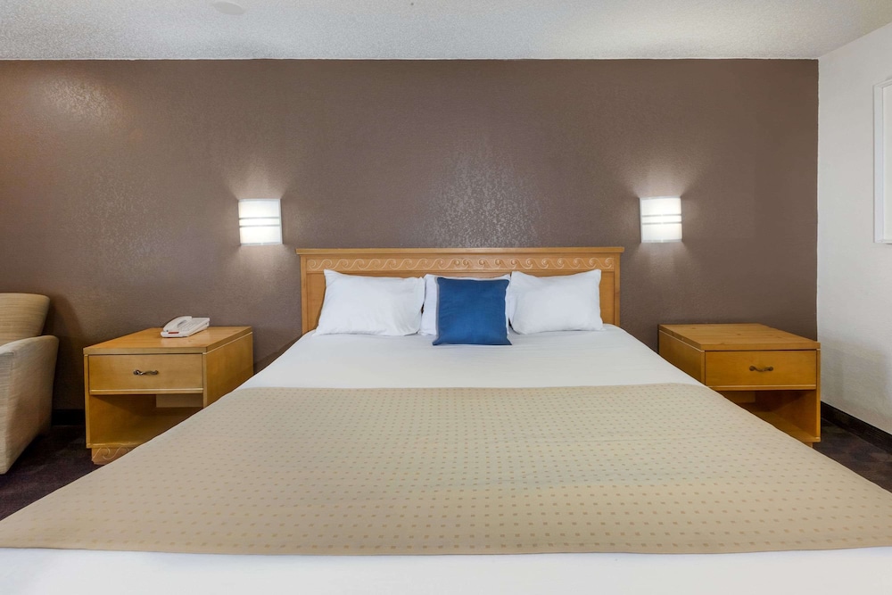 Suite, 1 King Bed photo 3